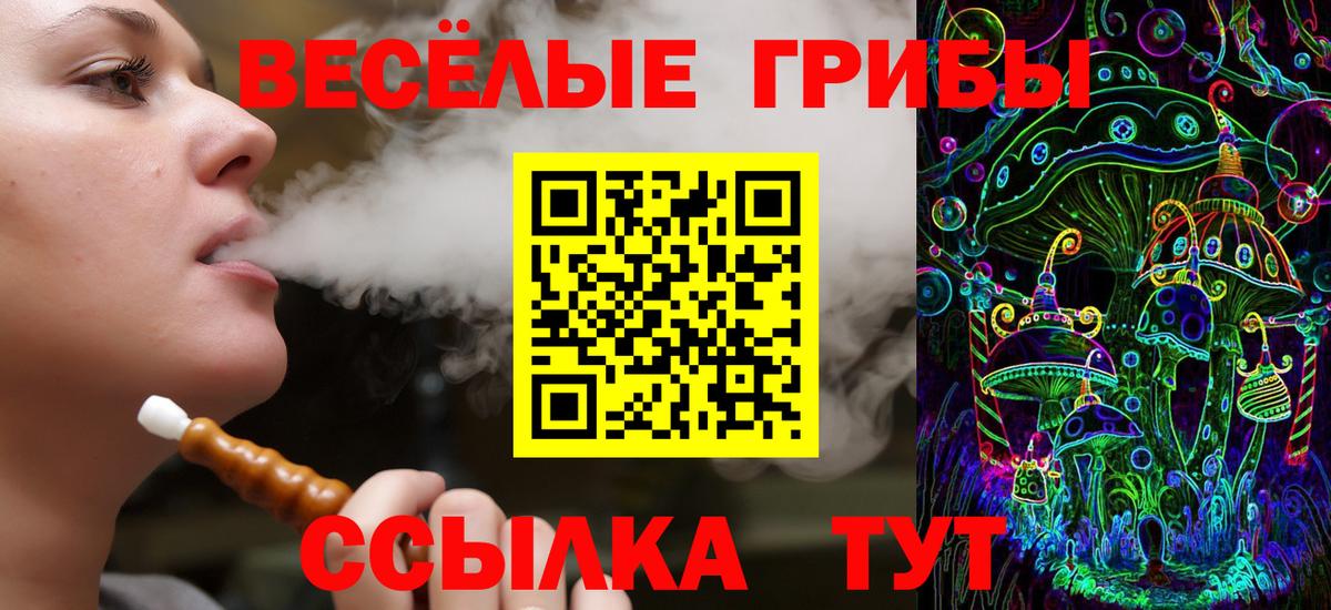 Новоалександровск  Псилоцибиновые грибы Magic Shrooms  Вход с VPN  Галлюциногенные грибы ЛСД 